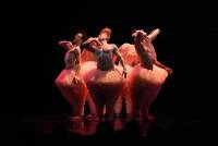 Yssingeaux : carton plein pour le spectacle de danse &quot;Tutu&quot;