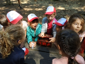 Les Villettes : un dernier jour de classe en voyage pour les maternelles et CP