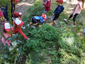 Les Villettes : un dernier jour de classe en voyage pour les maternelles et CP