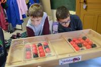 Saint-Julien-du-Pinet : Lire en fête s&#039;invite à l&#039;école de &quot;Veyrines&quot;