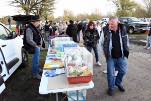 Bas-en-Basset : 500 exposants et des milliers de visiteurs sur la Foire aux ânes