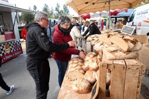 Bas-en-Basset : 500 exposants et des milliers de visiteurs sur la Foire aux ânes