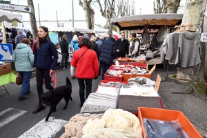 Bas-en-Basset : 500 exposants et des milliers de visiteurs sur la Foire aux ânes