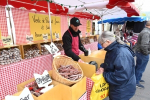 Bas-en-Basset : 500 exposants et des milliers de visiteurs sur la Foire aux ânes