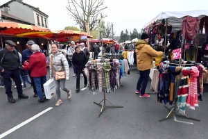 Bas-en-Basset : 500 exposants et des milliers de visiteurs sur la Foire aux ânes