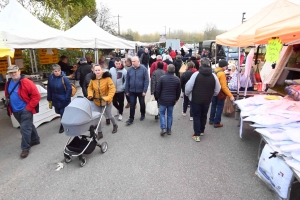 Bas-en-Basset : 500 exposants et des milliers de visiteurs sur la Foire aux ânes