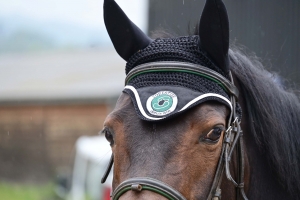 Equitation : le CSO d&#039;Yssingeaux ouvre avec la compétition Club