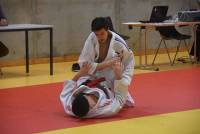 Judo : des champions de Haute-Loire en minimes et cadets