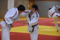 Judo : des champions de Haute-Loire en minimes et cadets