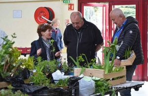 Un atelier multiplication des plantes samedi à Yssingeaux