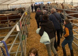 Lapte : 2800 entrées payantes pour 5000 visiteurs à l&#039;exposition des miniatures agricoles