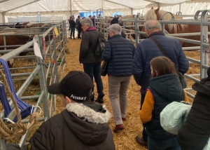 Lapte : 2800 entrées payantes pour 5000 visiteurs à l&#039;exposition des miniatures agricoles