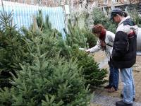 Yssingeaux : une vente de sapins sur la place Foch avec l&#039;école privée