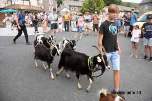 Saint-Front : un marché de producteurs, un vide-greniers et des animaux dimanche dans le bourg