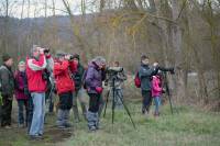 Une sortie sur les étangs de Bas-en-Basset avec les Rencontres naturalistes