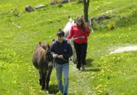 Marches du Velay-Rochebaron : les animations du 21 au 25 août