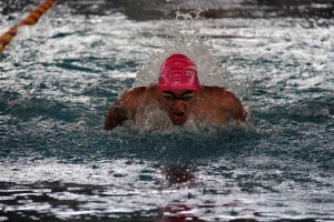 Natation : Marches du Velay s&#039;illustre aux championnats départementaux