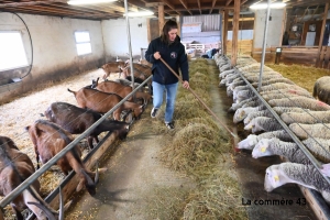 Les Vastres : la Bergerie du Vieux Moulin ouvre sa ferme au public ce week-end