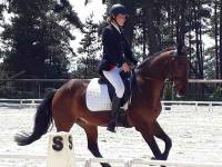 Equitation : les championnats départementaux de dressage organisés à Blavozy