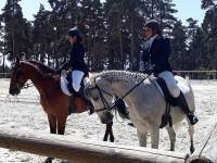 Equitation : les championnats départementaux de dressage organisés à Blavozy