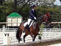 Equitation : les championnats départementaux de dressage organisés à Blavozy