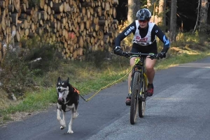 Saint-Front : les mushers et les chiens sur la terre ferme ce week-end à &quot;Chaudeyrac&quot;