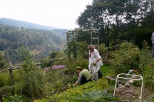 Riotord : une balade cueillette et dégustation de plantes sauvages samedi