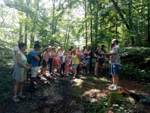 Retournac : une séduisante promenade contée en forêt