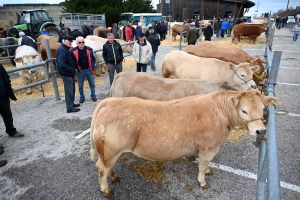 Foire grasse : les éleveurs de Freycenet-la-Cuche comme à la maison aux Estables