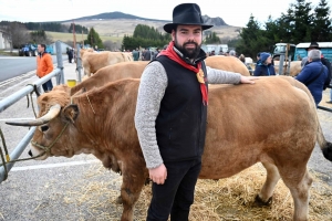 Foire grasse : les éleveurs de Freycenet-la-Cuche comme à la maison aux Estables