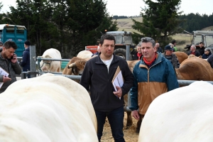 Foire grasse : les éleveurs de Freycenet-la-Cuche comme à la maison aux Estables