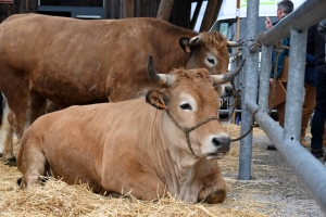 Foire grasse : les éleveurs de Freycenet-la-Cuche comme à la maison aux Estables