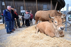 Foire grasse : les éleveurs de Freycenet-la-Cuche comme à la maison aux Estables