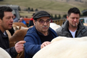 Foire grasse : les éleveurs de Freycenet-la-Cuche comme à la maison aux Estables