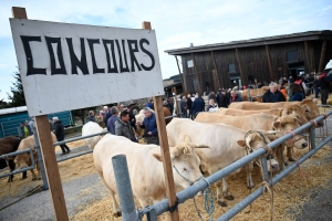 Foire grasse : les éleveurs de Freycenet-la-Cuche comme à la maison aux Estables