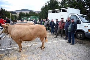 Foire grasse : les éleveurs de Freycenet-la-Cuche comme à la maison aux Estables