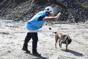 Yssingeaux : le concours canin de sauvetage met à l&#039;épreuve les chiens dans la recherche de personnes