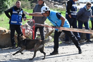 Yssingeaux : le concours canin de sauvetage met à l&#039;épreuve les chiens dans la recherche de personnes