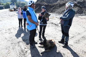 Yssingeaux : le concours canin de sauvetage met à l&#039;épreuve les chiens dans la recherche de personnes