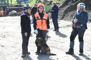 Yssingeaux : le concours canin de sauvetage met à l&#039;épreuve les chiens dans la recherche de personnes