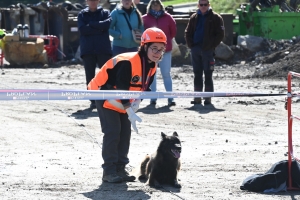 Yssingeaux : le concours canin de sauvetage met à l&#039;épreuve les chiens dans la recherche de personnes