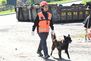 Yssingeaux : le concours canin de sauvetage met à l&#039;épreuve les chiens dans la recherche de personnes