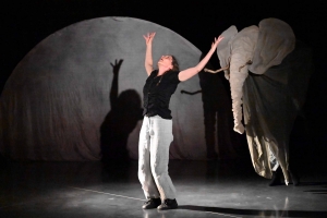 Montfaucon-en-Velay : &quot;Elefantino&quot; ou la vie de Babar en musique, danse et marionnettes