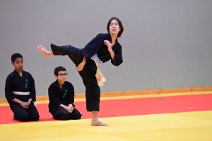 Un tournoi de viet vo dao a concerné les enfants au dojo à Yssingeaux