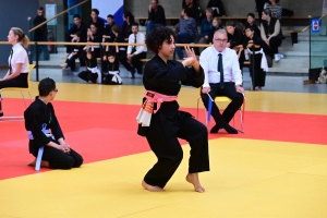 Un tournoi de viet vo dao a concerné les enfants au dojo à Yssingeaux