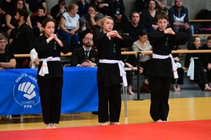 Un tournoi de viet vo dao a concerné les enfants au dojo à Yssingeaux