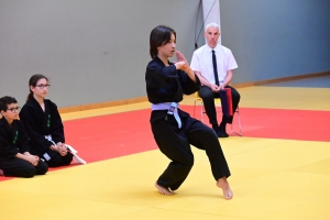 Un tournoi de viet vo dao a concerné les enfants au dojo à Yssingeaux