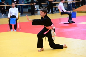 Un tournoi de viet vo dao a concerné les enfants au dojo à Yssingeaux