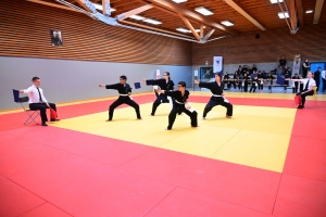 Un tournoi de viet vo dao a concerné les enfants au dojo à Yssingeaux