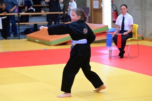 Un tournoi de viet vo dao a concerné les enfants au dojo à Yssingeaux